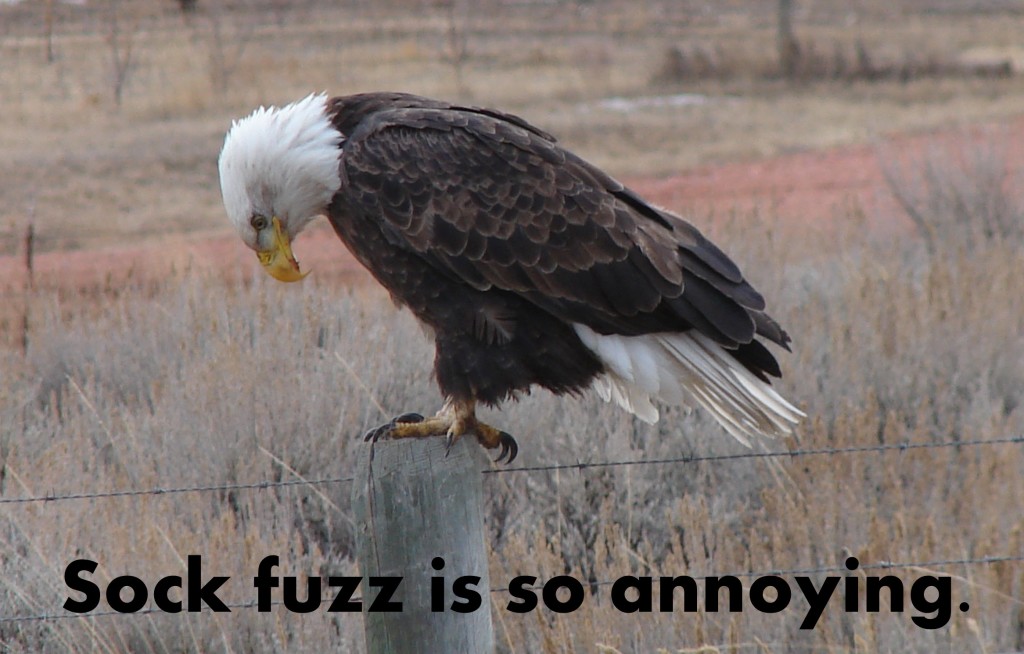 I hate sock fuzz