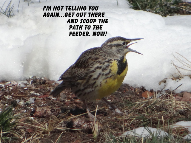 The kids won't get out of bed!-002